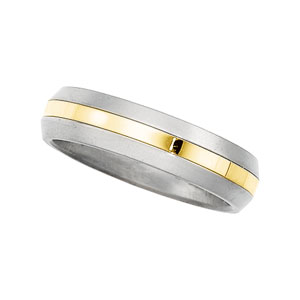 6mm Titanium and 18K Yellow Gold Men's Band.